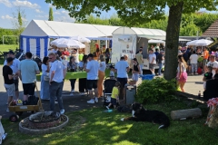 ____________________