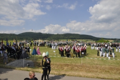 ____________________