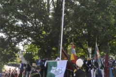 ____________________